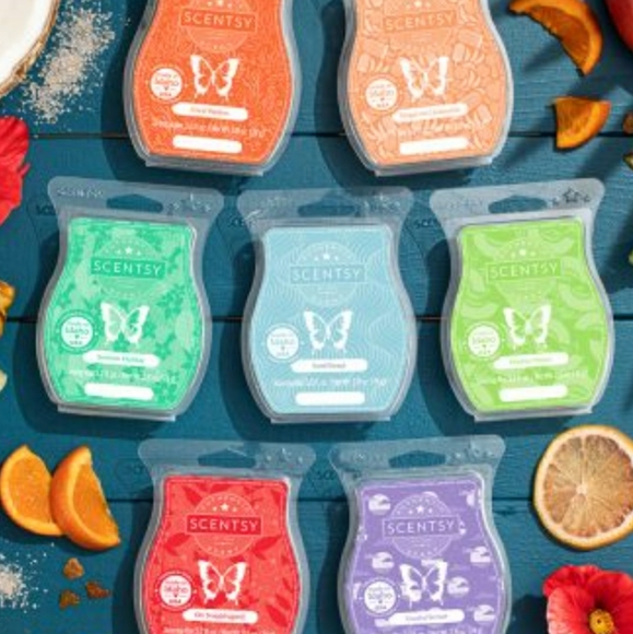 Once In A Lifetime Scentsy Wax Warmer - Picture 5 of 5